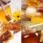 Turkish Honey En İyi Hangi Bölgelerde Üretilir?